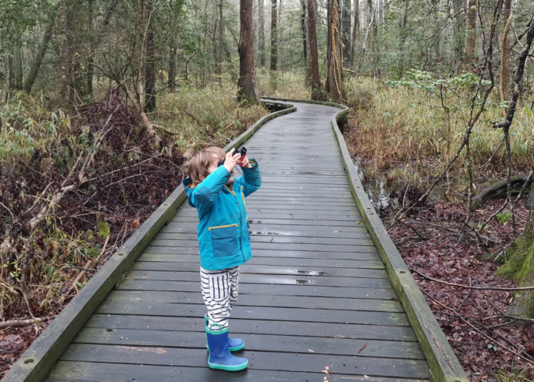 Great Dismal Swamp National Wildlife Refuge